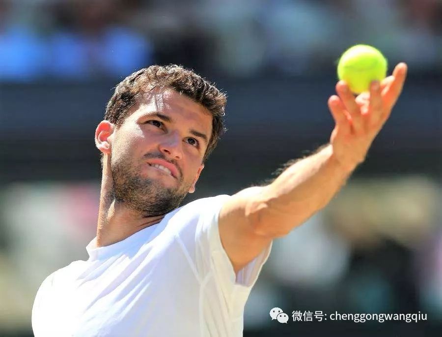 这种成功的 这种成功的